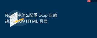Nginx 中怎么配置 Gzip 压缩动态生成的 HTML 页面