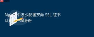 nginx 中怎么配置双向 ssl 证书认证客户端身份