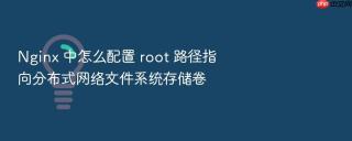 nginx 中怎么配置 root 路径指向分布式网络文件系统存储卷