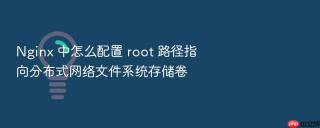 Nginx 中怎么配置 root 路径指向分布式网络文件系统存储卷