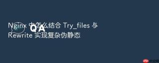 nginx 中怎么结合 try_files 与 rewrite 实现复杂伪静态