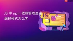 js 中 npm 依赖管理高级编程模式怎么学