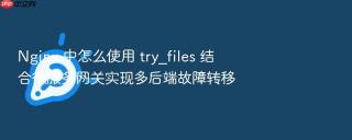 nginx 中怎么使用 try_files 结合微服务网关实现多后端故障转移