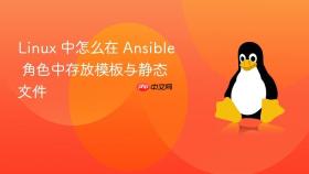 linux 中怎么在 ansible 角色中存放模板与静态文件