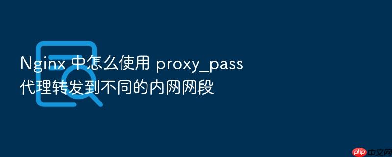 nginx 中怎么使用 proxy_pass 代理转发到不同的内网网段