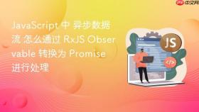 javascript 中 异步数据流 怎么通过 rxjs observable 转换为 promise 进行处理