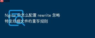 nginx 中怎么配置 rewrite 忽略特定后缀文件的重写规则