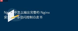 nginx 中怎么输出完整的 nginx 安全防护与访问控制白皮书