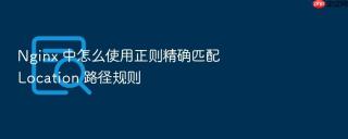 nginx 中怎么使用正则精确匹配 location 路径规则