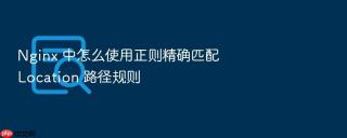 Nginx 中怎么使用正则精确匹配 Location 路径规则