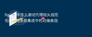 nginx 中怎么测试代理标头规范化在异构系统集成中的对接表现
