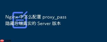 Nginx 中怎么配置 proxy_pass 隐藏后端真实的 Server 版本