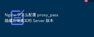 nginx 中怎么配置 proxy_pass 隐藏后端真实的 server 版本