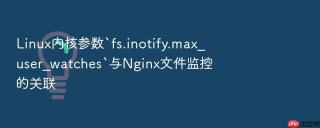 Linux内核参数`fs.inotify.max_user_watches`与Nginx文件监控的关联