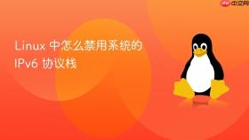 linux 中怎么禁用系统的 ipv6 协议栈