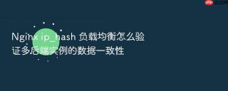 nginx ip_hash 负载均衡怎么验证多后端实例的数据一致性