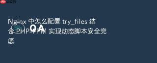 nginx 中怎么配置 try_files 结合 php-fpm 实现动态脚本安全兜底