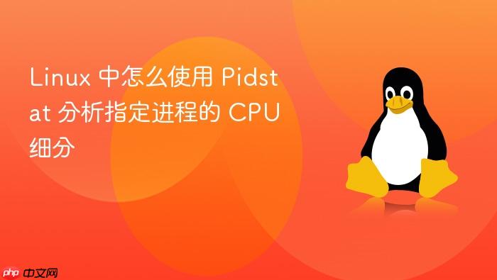 linux 中怎么使用 pidstat 分析指定进程的 cpu 细分
