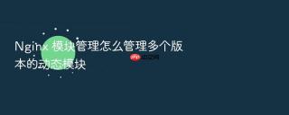 nginx 模块管理怎么管理多个版本的动态模块