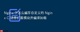 nginx 中怎么编写自定义的 nginx c 语言扩展模块并编译加载