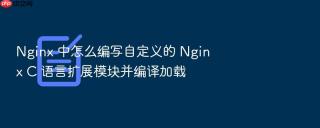 Nginx 中怎么编写自定义的 Nginx C 语言扩展模块并编译加载