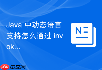 java 中动态语言支持怎么通过 invokedynamic 指令实现高效调用