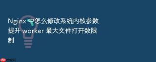 nginx 中怎么修改系统内核参数提升 worker 最大文件打开数限制
