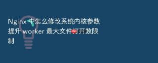 Nginx 中怎么修改系统内核参数提升 worker 最大文件打开数限制