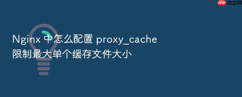 nginx 中怎么配置 proxy_cache 限制最大单个缓存文件大小