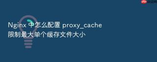 nginx 中怎么配置 proxy_cache 限制最大单个缓存文件大小
