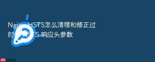 Nginx HSTS怎么清理和修正过时的 HSTS 响应头参数
