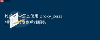 nginx 中怎么使用 proxy_pass 将请求转发到后端服务