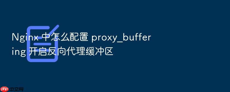 nginx 中怎么配置 proxy_buffering 开启反向代理缓冲区