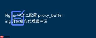 nginx 中怎么配置 proxy_buffering 开启反向代理缓冲区