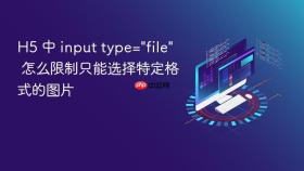 h5 中 input type=\