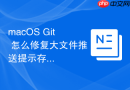 macOS Git 怎么修复大文件推送提示存储空间不足的错误
