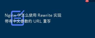 nginx 中怎么使用 rewrite 实现带有中文参数的 url 重写