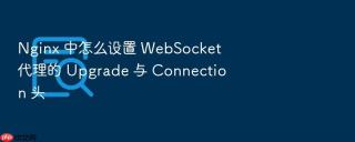 nginx 中怎么设置 websocket 代理的 upgrade 与 connection 头