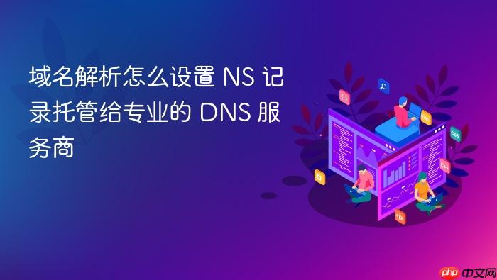 域名解析怎么设置 ns 记录托管给专业的 dns 服务商
