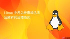 Linux 中怎么排查域名无法解析的故障原因