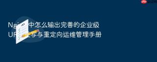 nginx 中怎么输出完善的企业级 url 重写与重定向运维管理手册