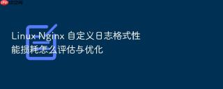 Linux Nginx 自定义日志格式性能损耗怎么评估与优化