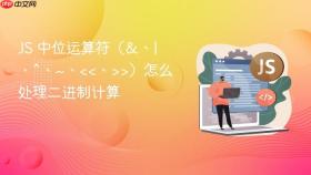 js 中位运算符（&、|、^、~、<<、>>）怎么处理<a  style=