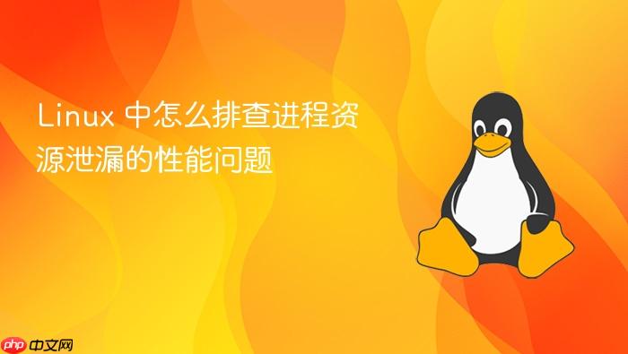 linux 中怎么排查进程资源泄漏的性能问题