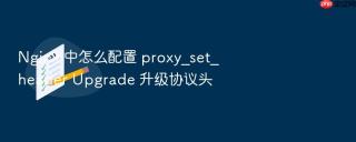 nginx 中怎么配置 proxy_set_header upgrade 升级协议头