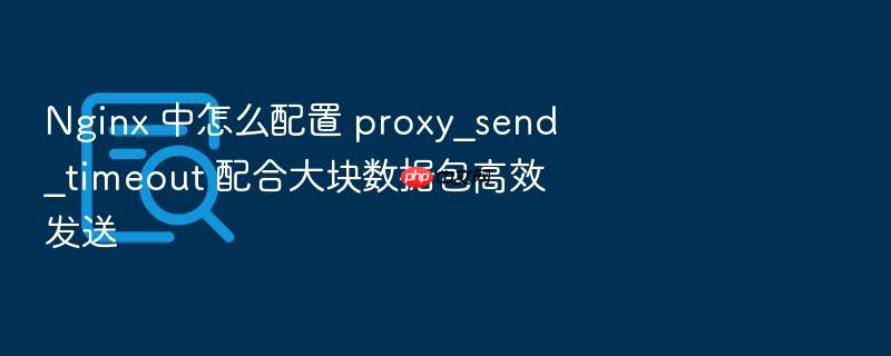 nginx 中怎么配置 proxy_send_timeout 配合大块数据包高效发送