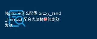 nginx 中怎么配置 proxy_send_timeout 配合大块数据包高效发送