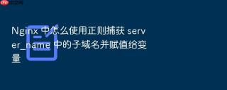 nginx 中怎么使用正则捕获 server_name 中的子域名并赋值给变量