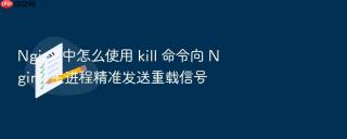 Nginx 中怎么使用 kill 命令向 Nginx 主进程精准发送重载信号