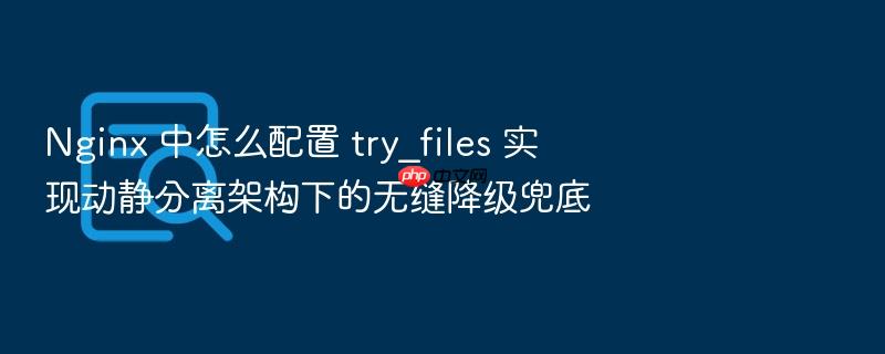 nginx 中怎么配置 try_files 实现动静分离架构下的无缝降级兜底